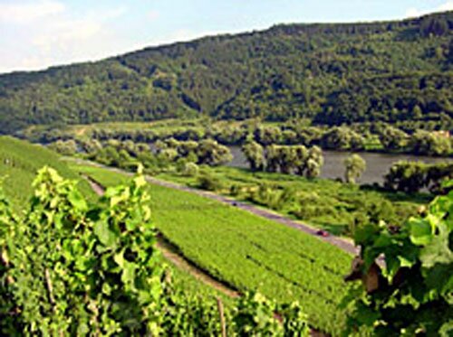 Рейнланд-Пфальц. Долины Мозеля славятся своими виноградниками. 