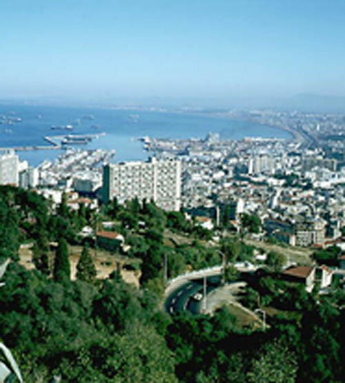 Панорама Алжира. 